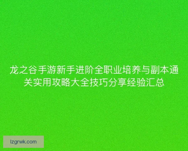 龙之谷手游新手进阶全职业培养与副本通关实用攻略大全技巧分享经验汇总